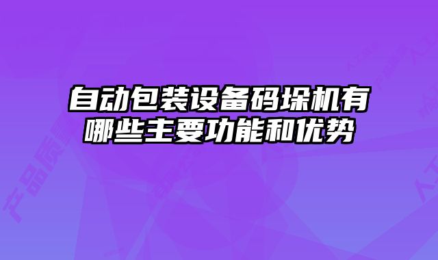 自動(dòng)包裝設(shè)備碼垛機(jī)有哪些主要功能和優(yōu)勢(shì)